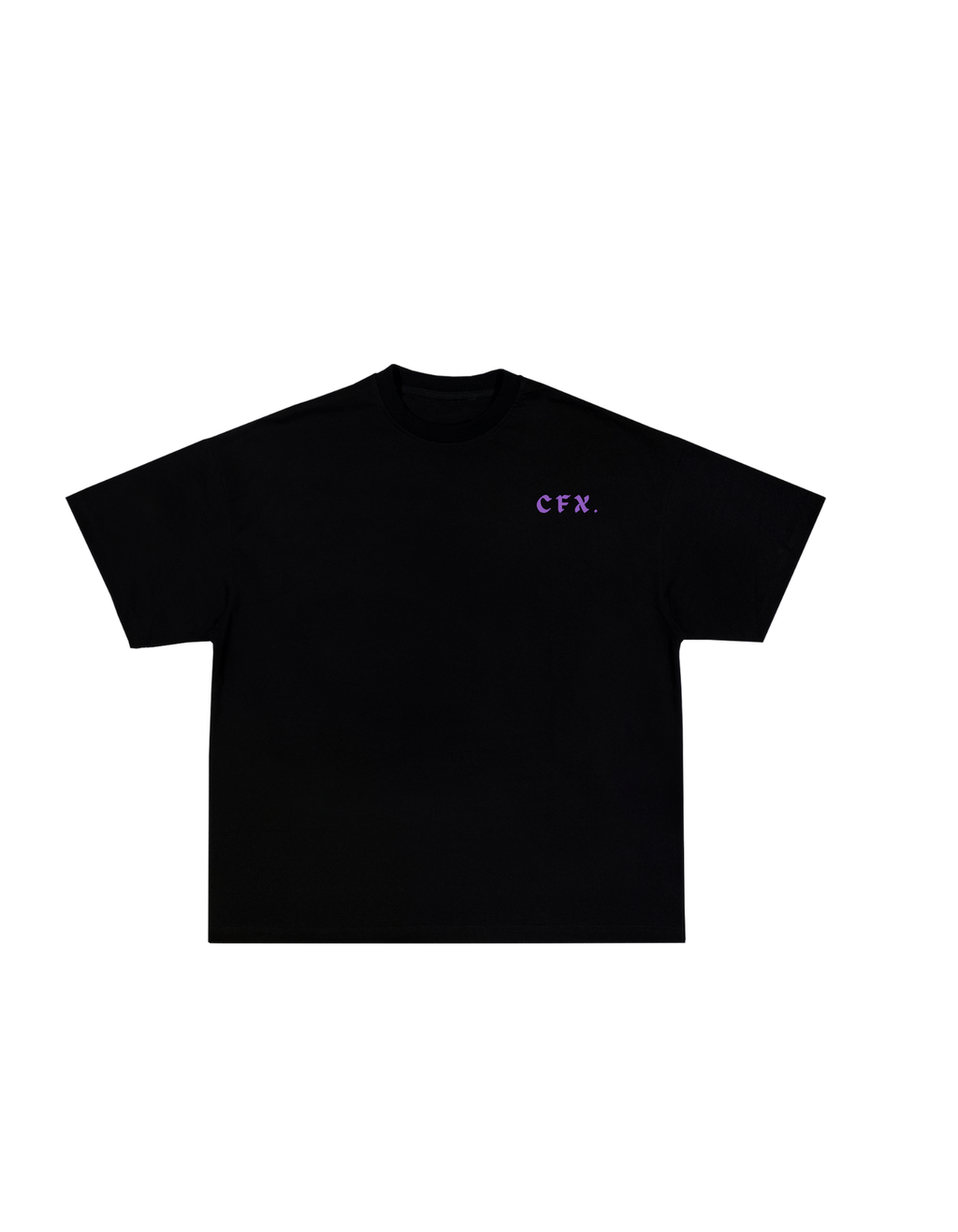 Without The Past, There Is No Future T-Shirt